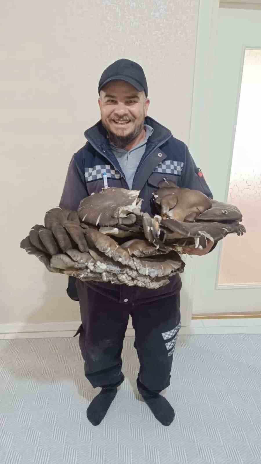 Konya'da dev mantar: Yemek için aradı müze gibi ziyaretçi topladı