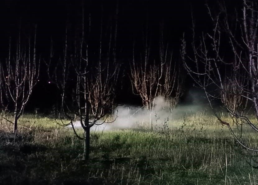 Afyon çiftçisi teyakkuzda