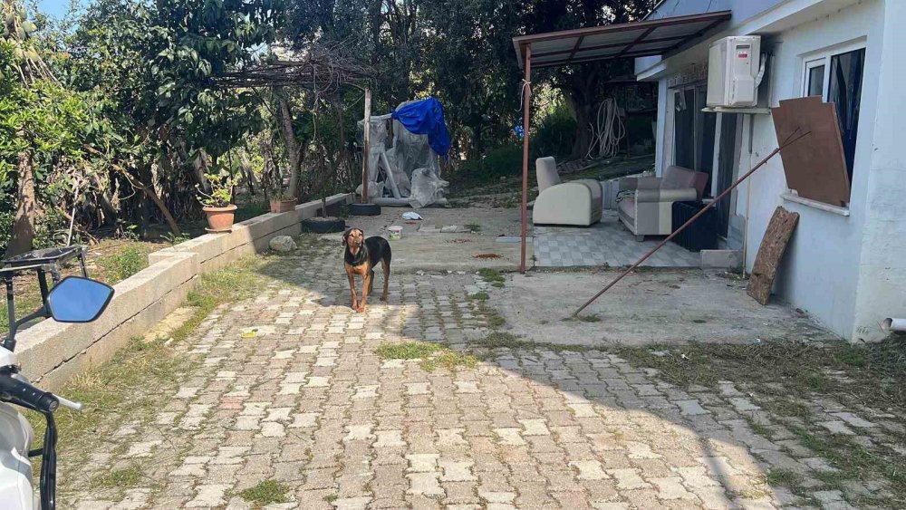 Kokudan Durulmayan Evden Dram Çıktı