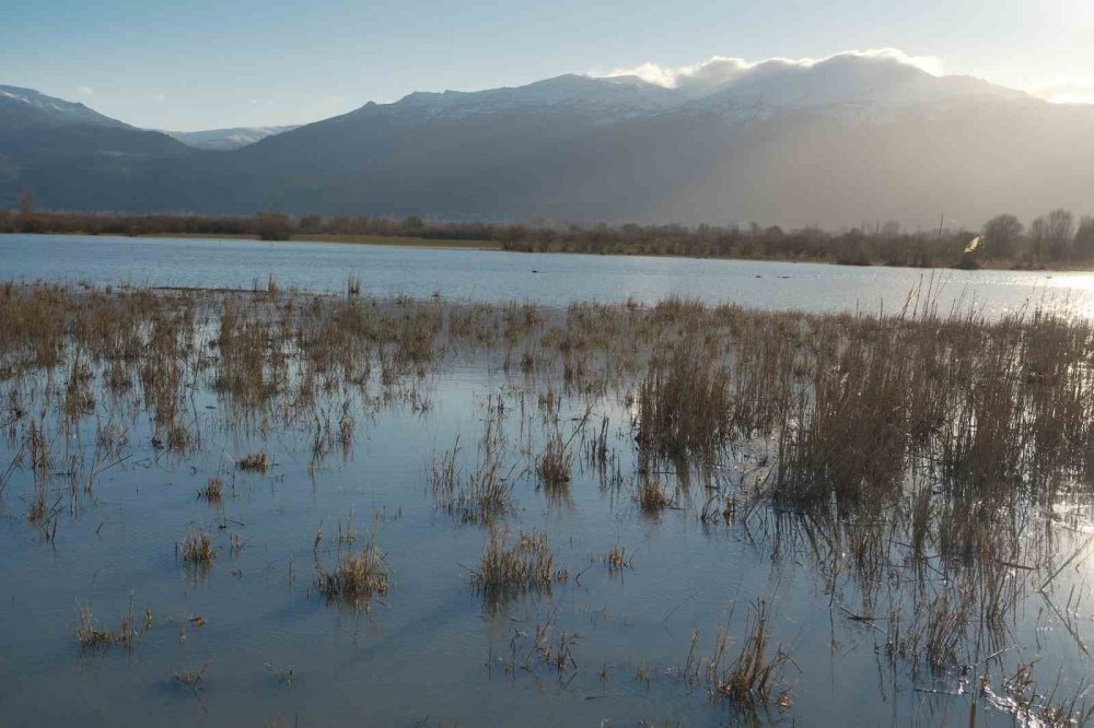 Haritadan Siliniyordu, Doğa Geri Verdi! Akşehir Gölü Gözlerini Açtı!
