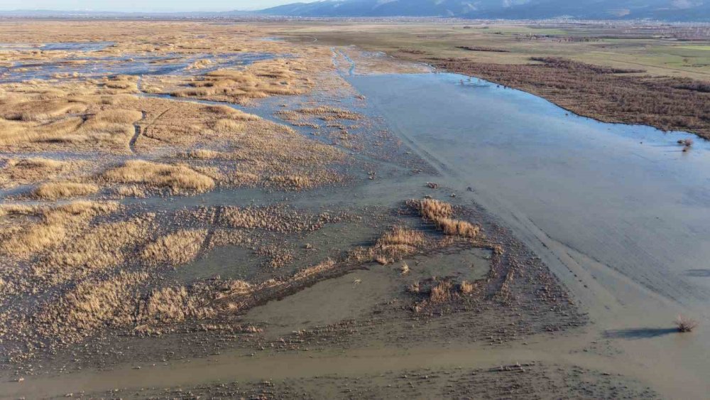 Haritadan Siliniyordu, Doğa Geri Verdi! Akşehir Gölü Gözlerini Açtı!