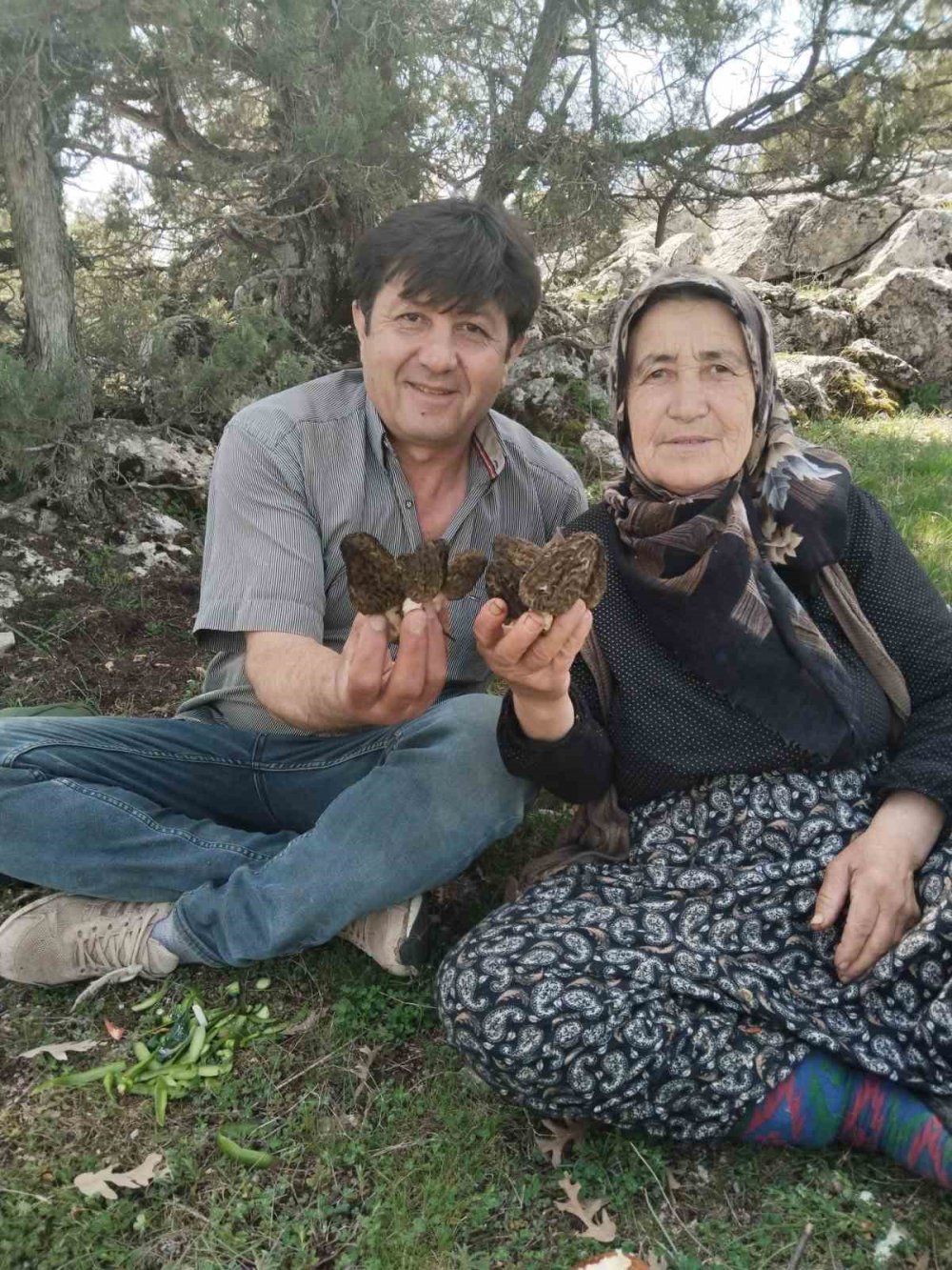 Toroslar’ın Eteklerinde Hasat Mesaisi! Kilosunu Gören Dağa Koşuyor