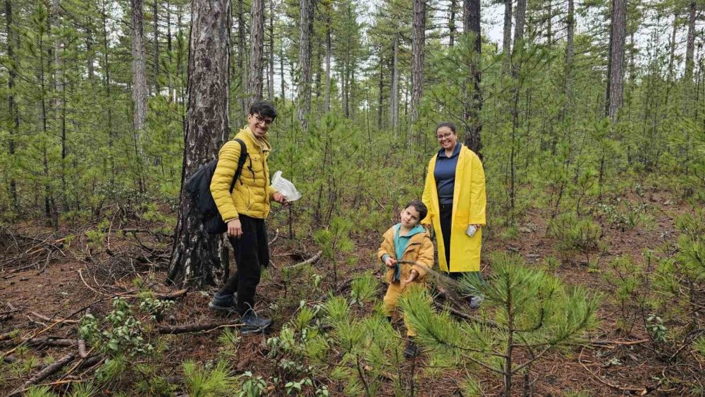 Konya'nın yükseklerinde toplanıyor! Kilosu 3 bin lira