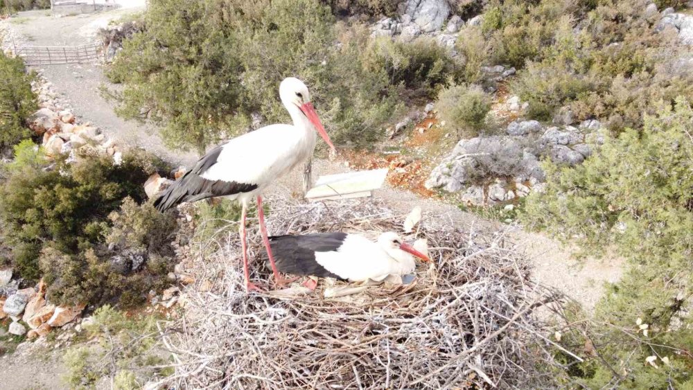 Leylekler Vadisi sahiplerine teslim