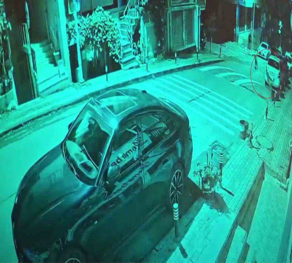 Sokak köpekleri araca zarar verdi