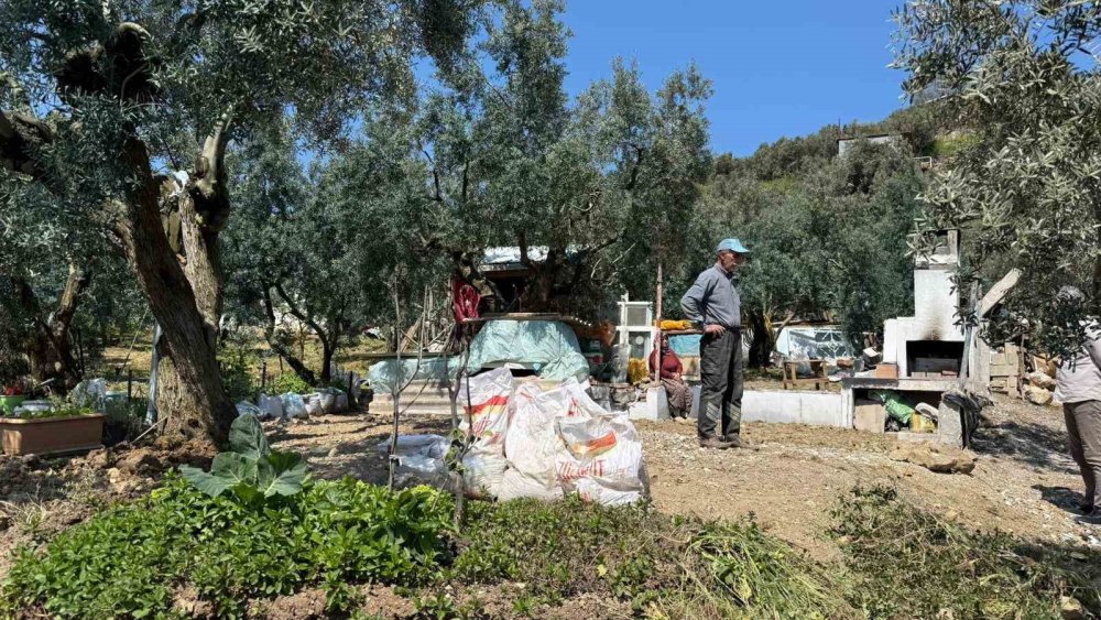 Bursa'da hobi bahçesi yıkımı sürüyor