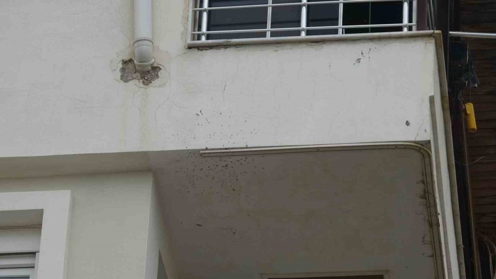 Pompalı tüfekli dehşet: Anneye ateş açtı