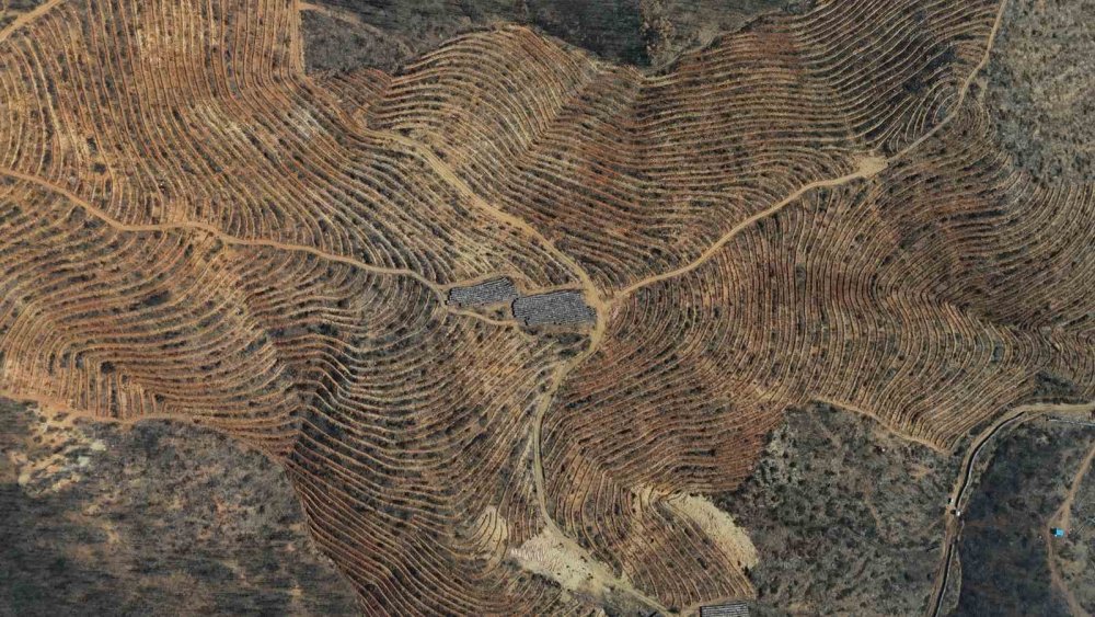 Bursa’nın Kara Yazı Yeşil Bahara Dönüyor: 2 Bin Kilometrelik Mucize!