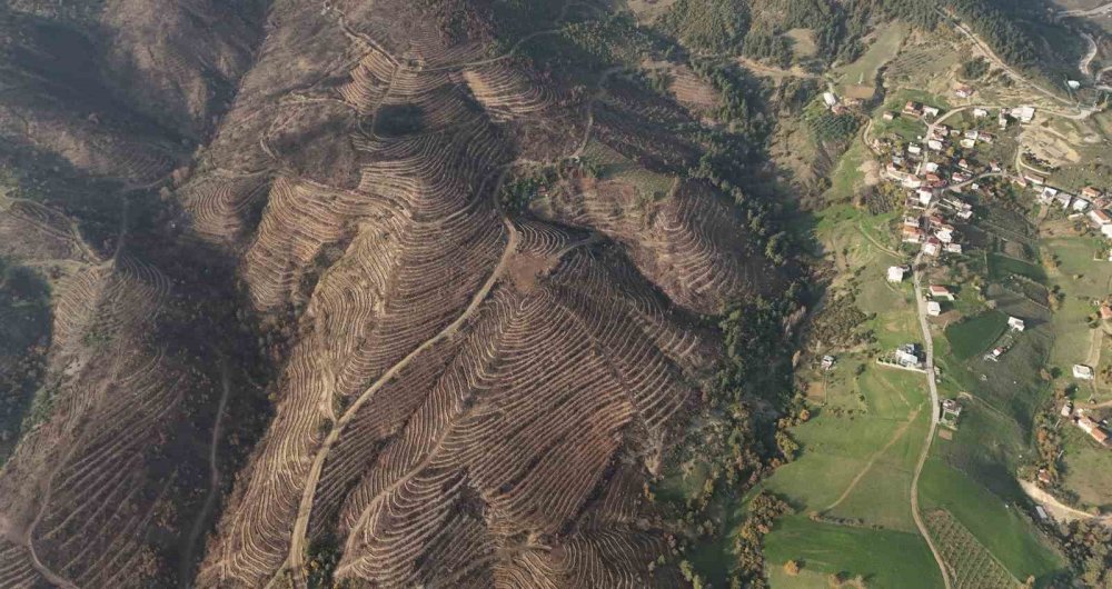 Bursa’nın Kara Yazı Yeşil Bahara Dönüyor: 2 Bin Kilometrelik Mucize!