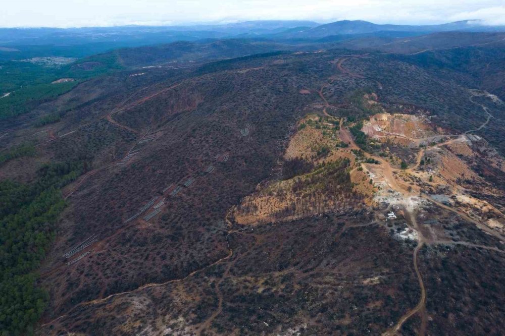 Bursa’nın Kara Yazı Yeşil Bahara Dönüyor: 2 Bin Kilometrelik Mucize!
