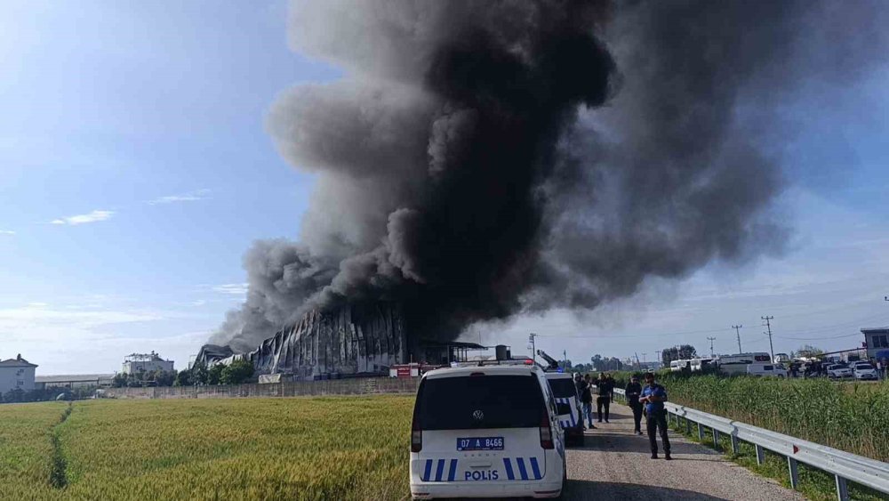 Antalya’da patates üretim tesisinde yangın