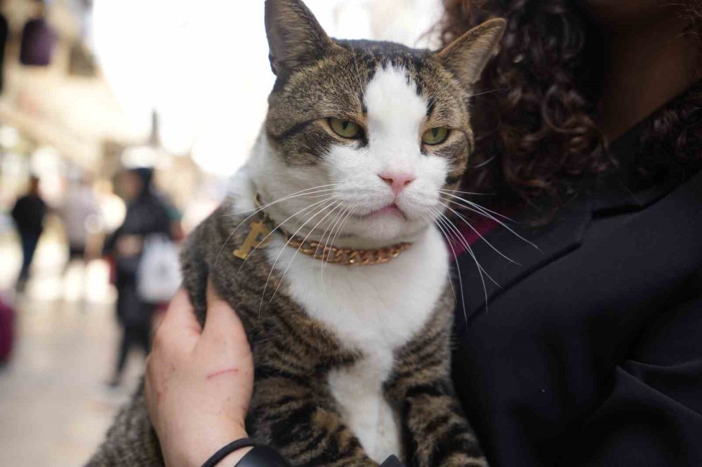 İzmit Çarşısının 10 Kiloluk Neşesi: Koruyucu Melek Prens