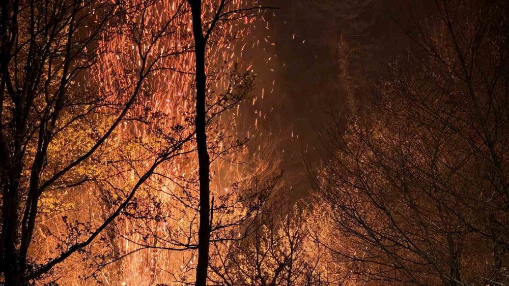 Alevlerle 9 Saat: Yeniden Parlayan Yangın Güçlükle Durduruldu