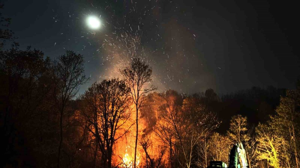 Alevlerle 9 Saat: Yeniden Parlayan Yangın Güçlükle Durduruldu