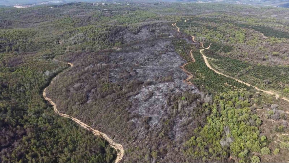 Beykoz’daki yangının bilançosu gün ağarınca ortaya çıktı