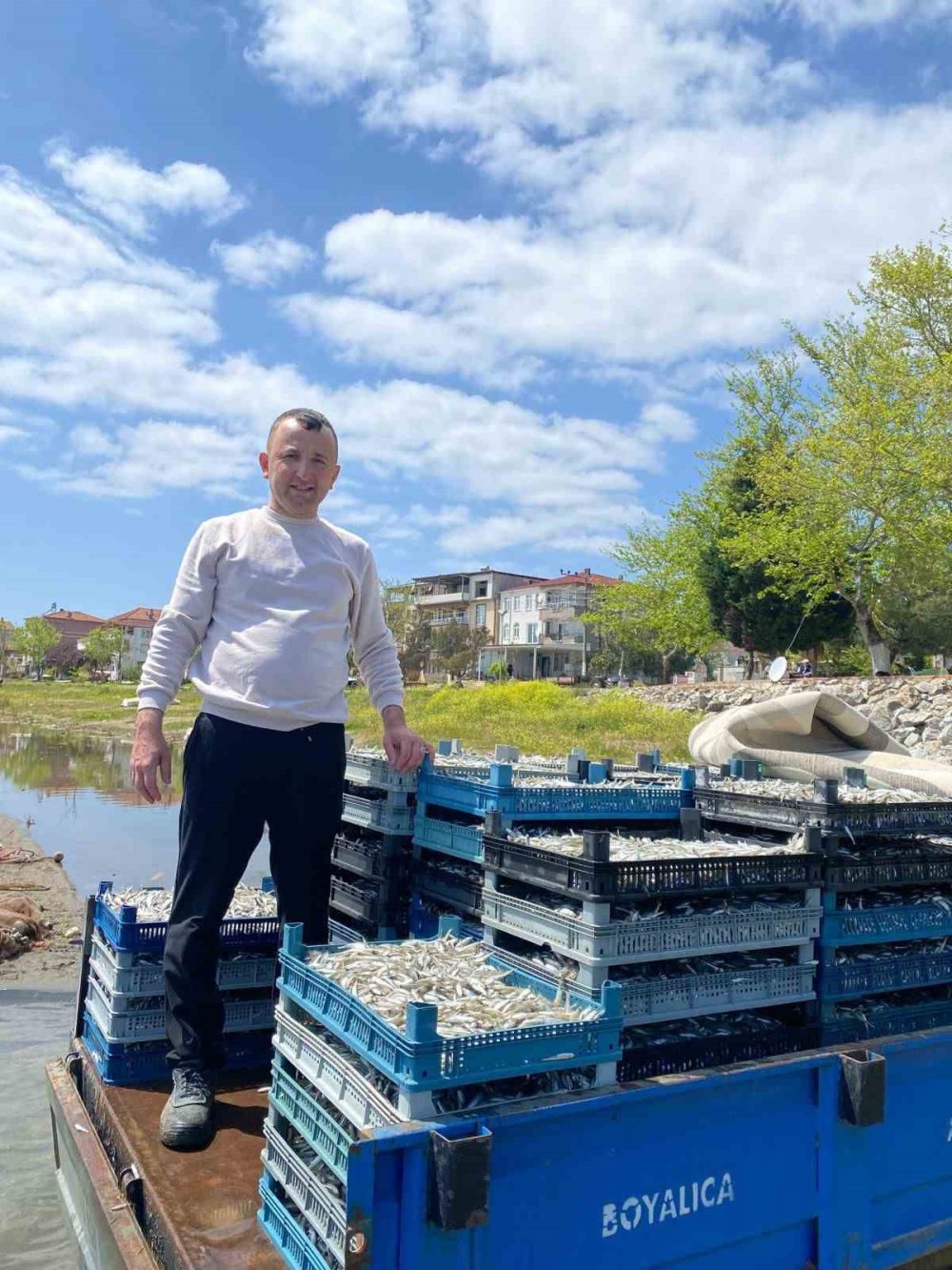 Gümüş balığında yüzler gülüyor