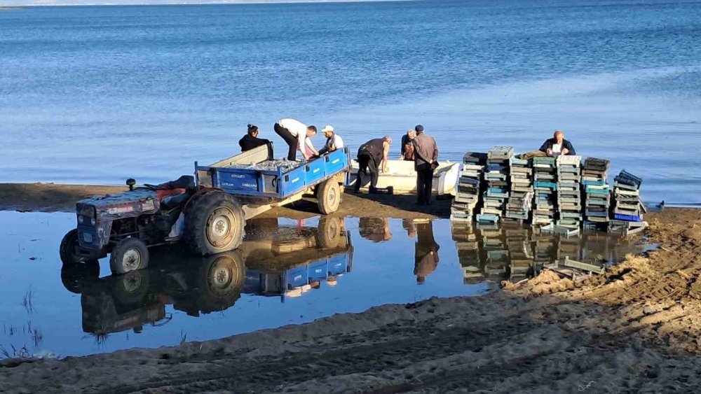 Gümüş balığında yüzler gülüyor