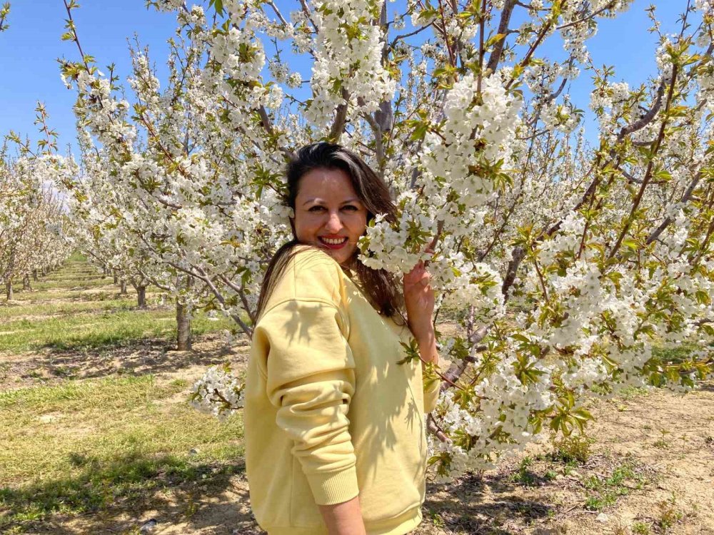 Japonya Değil Afyon: Kiraz Çiçeği Festivali Büyüledi!