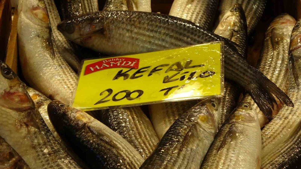 Balık tezgahları kış aylarını aratmıyor