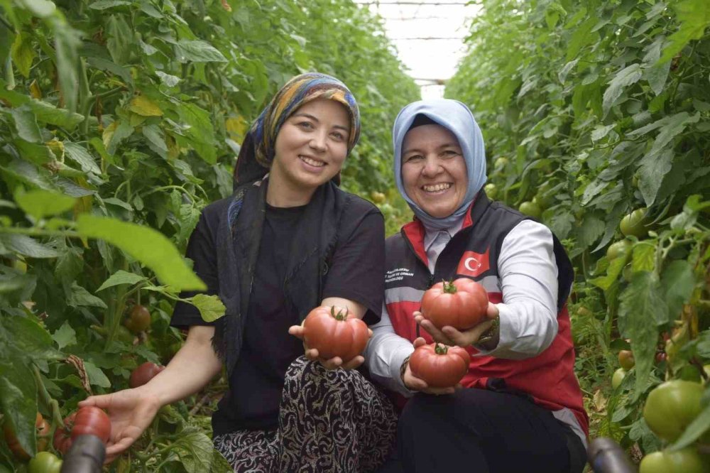 9 Yaşında Başladı, 25 Yaşında Dev Tesise Meydan Okuyor