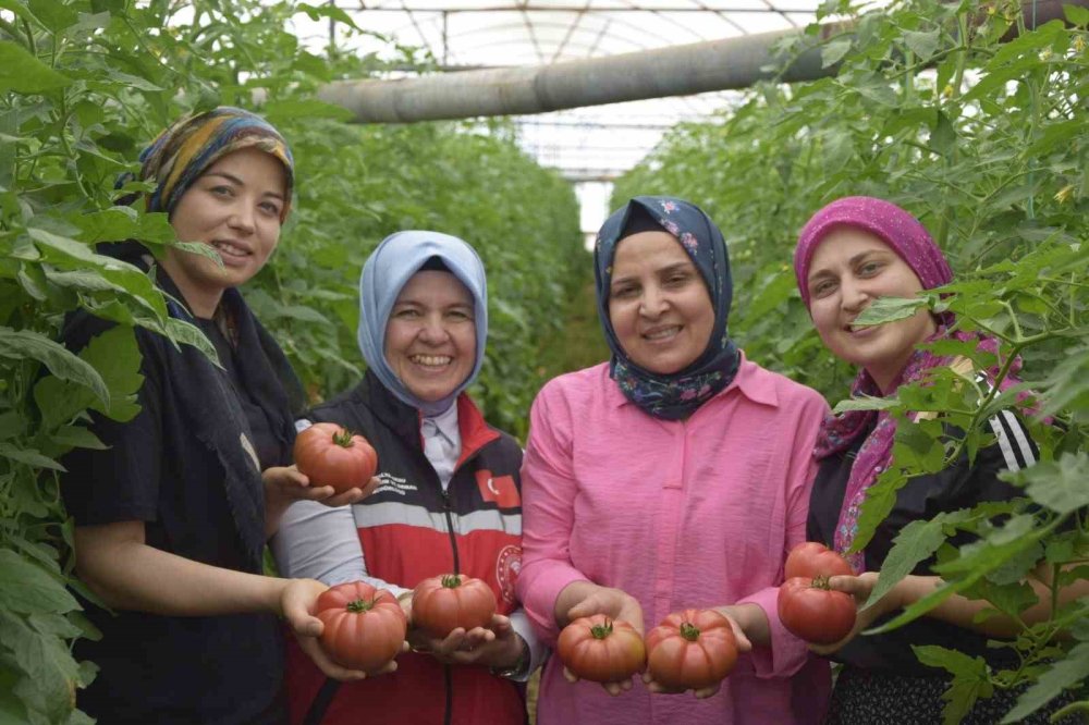 9 Yaşında Başladı, 25 Yaşında Dev Tesise Meydan Okuyor
