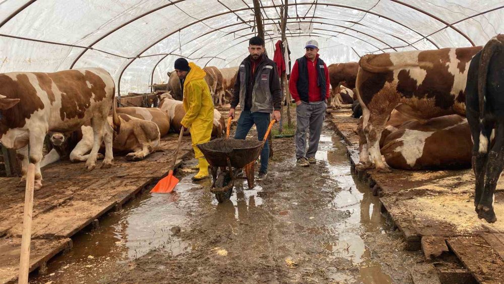 Baraj Kapakları Açıldı, Kurban Pazarını Su Bastı