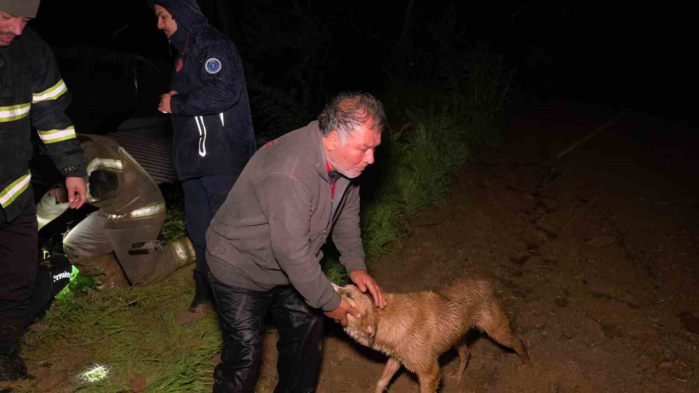 İnegöl’de Sel Dehşeti: Çiftlik Sahibi ve Köpeği İçin Zamanla Yarış!