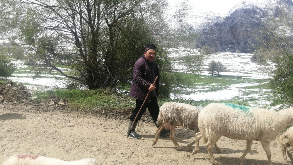 Yaylada mahsur kalan çobanlar 30 saat sonra kurtarıldı