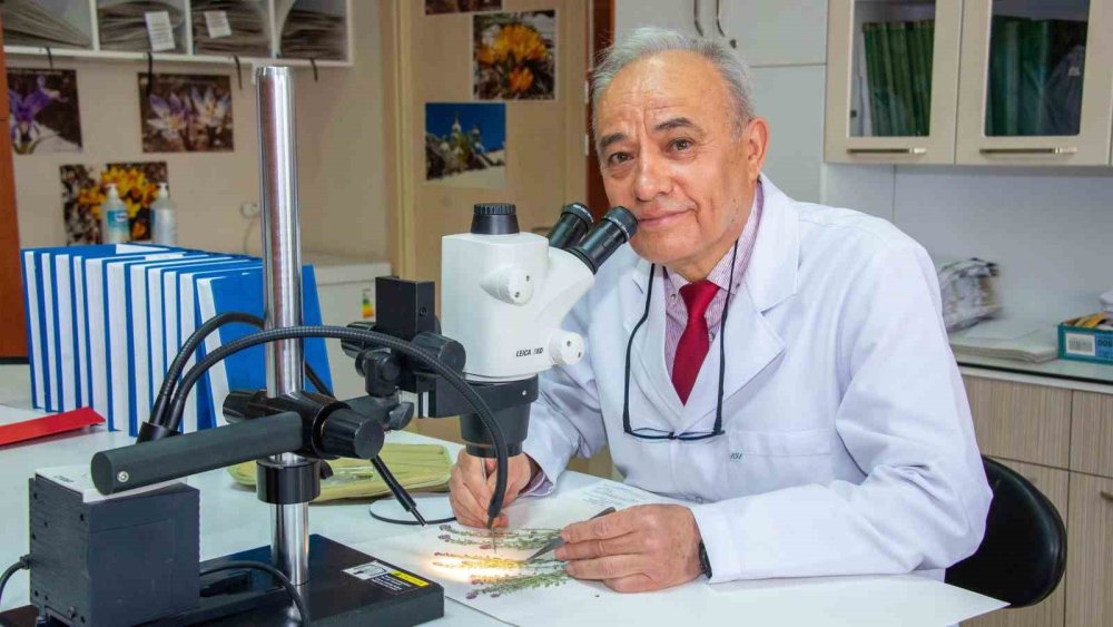 Toroslar'ın Saklı Hazineleri Gün Yüzüne Çıktı: 4 Yeni Bitki Türü Keşfedildi