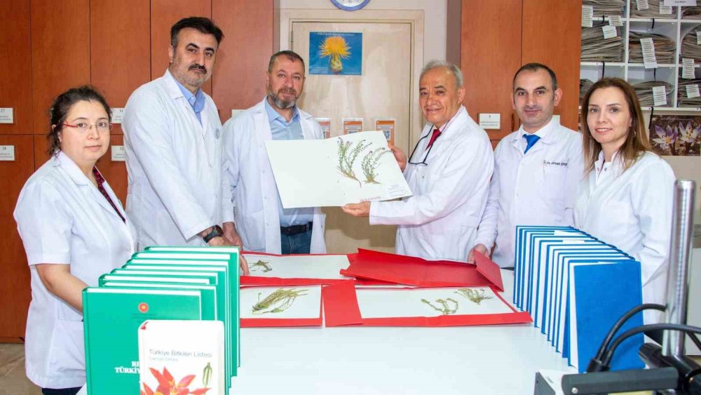 Toroslar'ın Saklı Hazineleri Gün Yüzüne Çıktı: 4 Yeni Bitki Türü Keşfedildi
