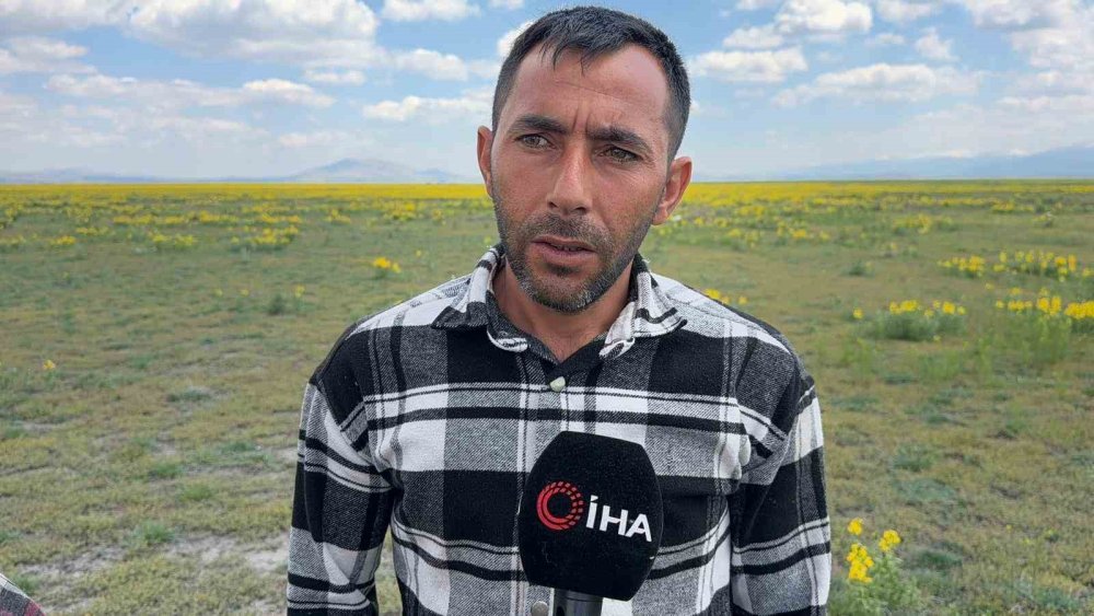 Afyon bu çiçekten uzak duruyor!