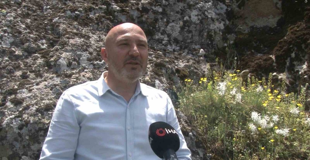 Gizemli Güzellik Uyandı: Ankara’nın Tek Noktasında Açan O Çiçek!
