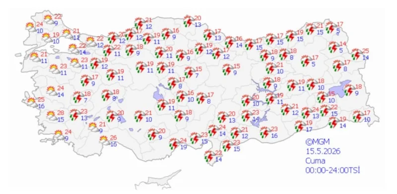 05.webp
