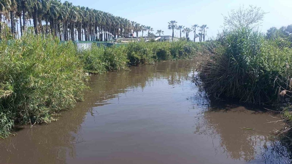 Manavgat’da ’pes’ dedirten görüntü cezasız kalmadı