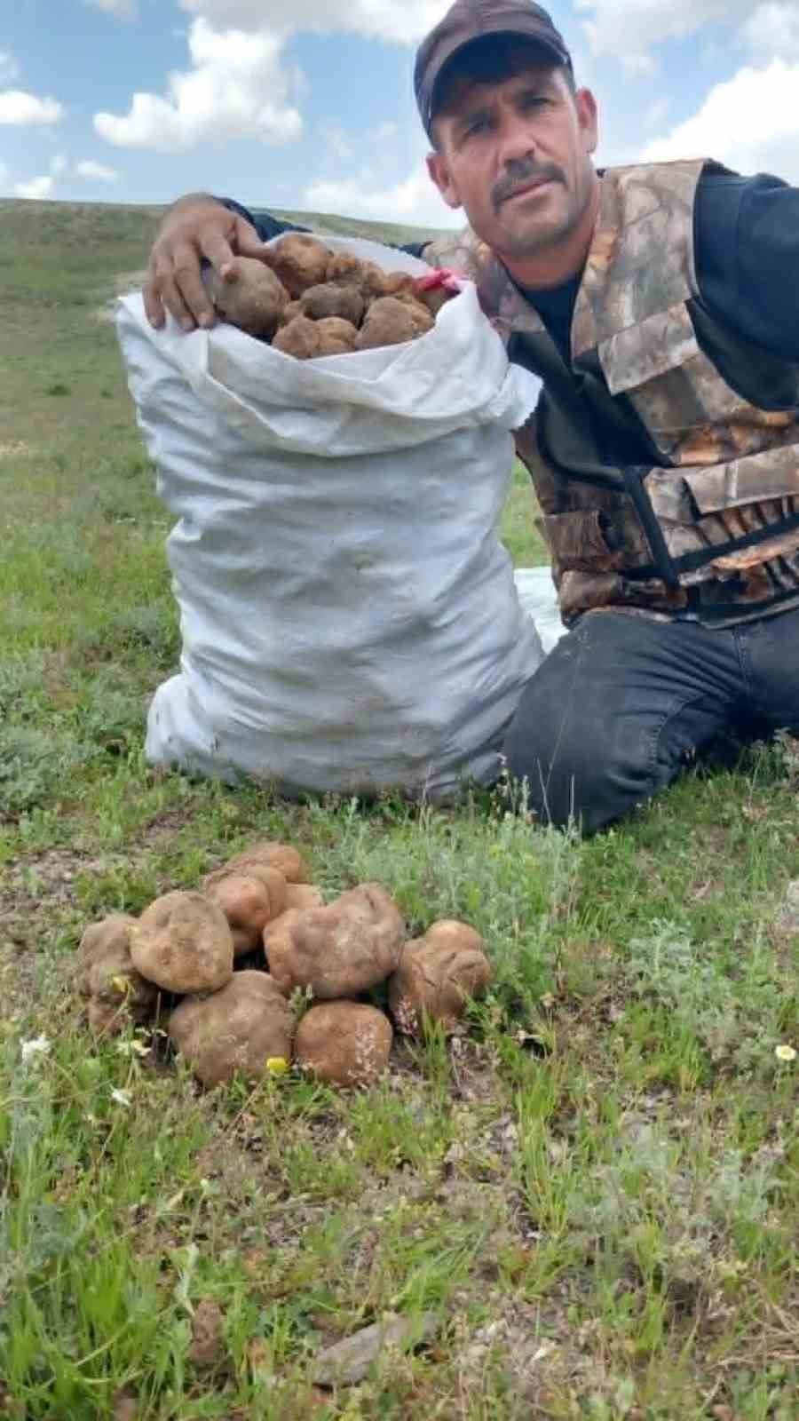 Kilosu 1700 TL Olan Gizli Hazine! Konya'da Eline Demir Çubuğu Alan Peşine Düşüyor!