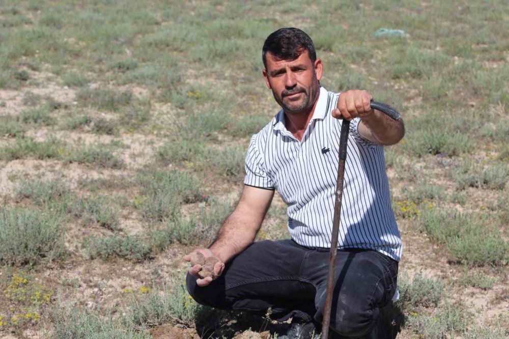 Kilosu 1700 TL Olan Gizli Hazine! Konya'da Eline Demir Çubuğu Alan Peşine Düşüyor!
