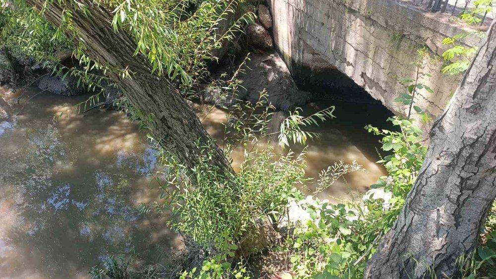Manavgat Irmağı Çevre Felaketiyle Sarsılıyor: Mavi Nehir Kahverengiye Döndü!