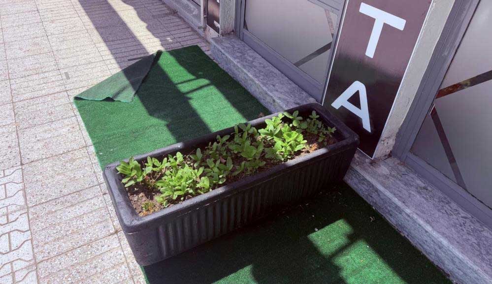 sa.jpg
