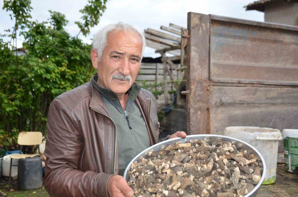 Bilecik'te Yangın Bölgesinden Kilogramı 7 Bin 500 TL'lik Mucize Fışkırdı