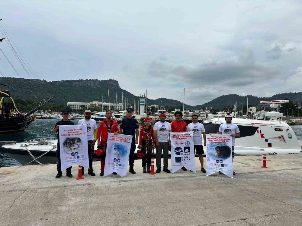 Akdeniz fokları Antalya'da burada yaşıyor