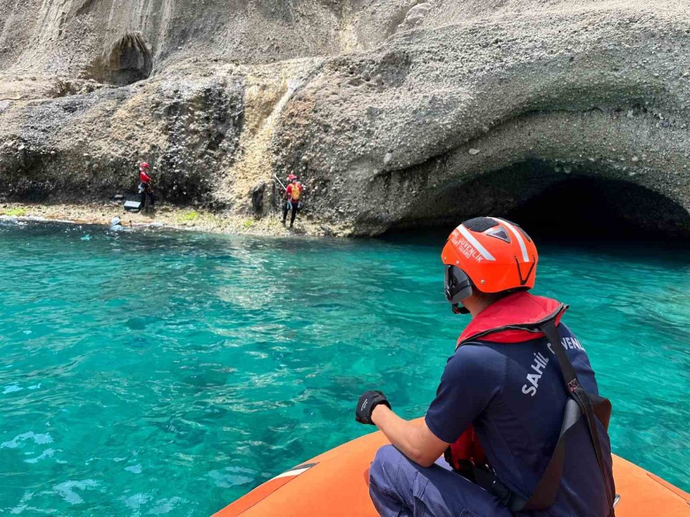 Akdeniz fokları Antalya'da burada yaşıyor