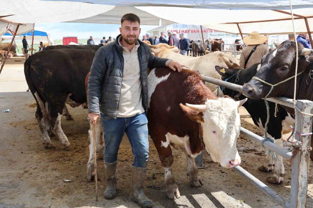 Ahırdan Galeriye: Kırşehir'de Bir Tosun Fiyatına Bir Araba!