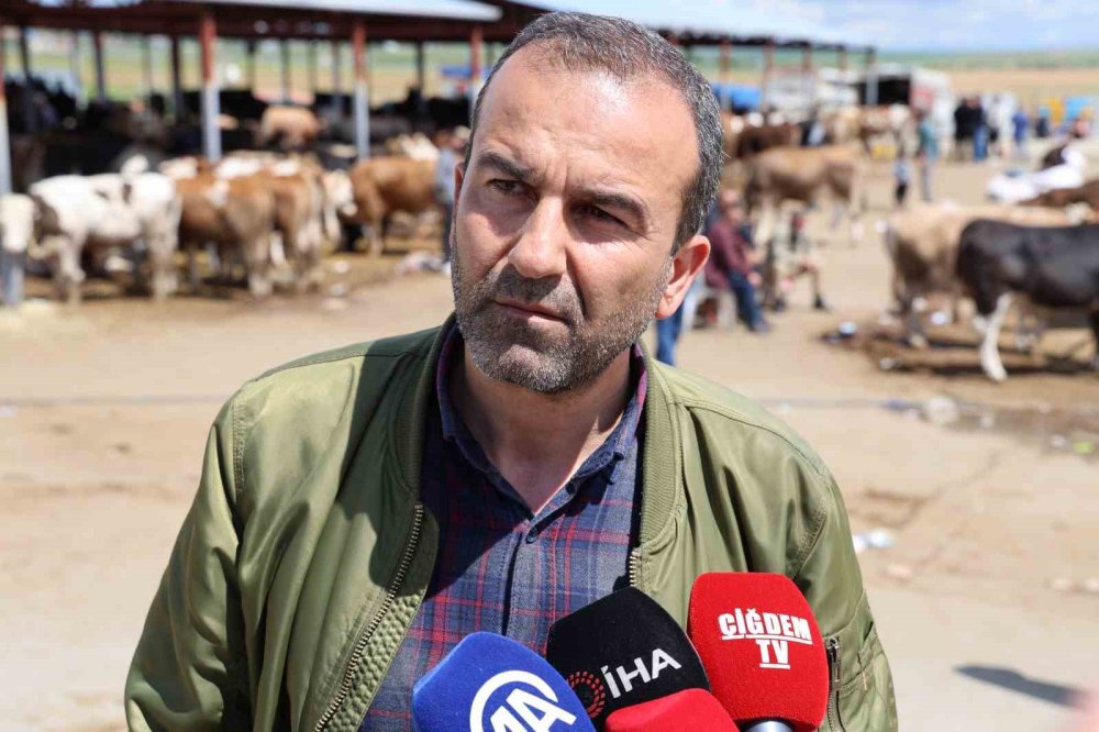 Ahırdan Galeriye: Kırşehir'de Bir Tosun Fiyatına Bir Araba!