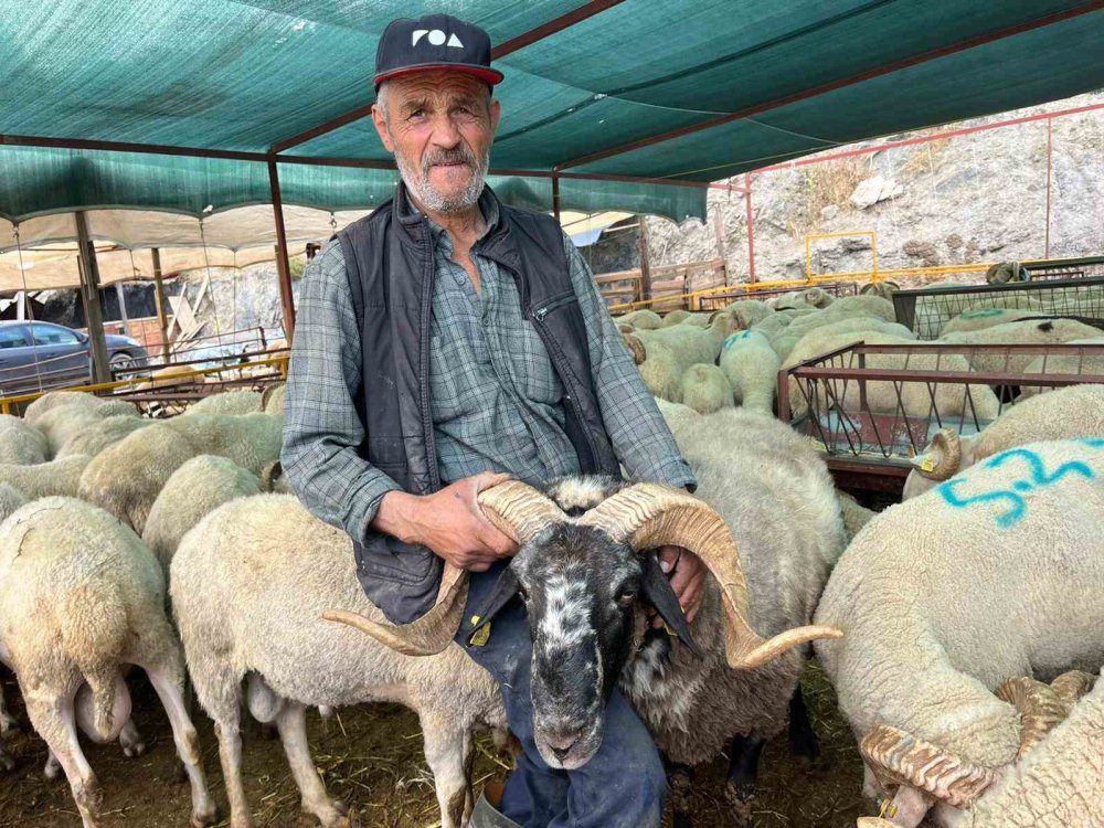 Pazarda Değil Ekran Başında Pazarlık: İzmir'de Kurban Telaşı!