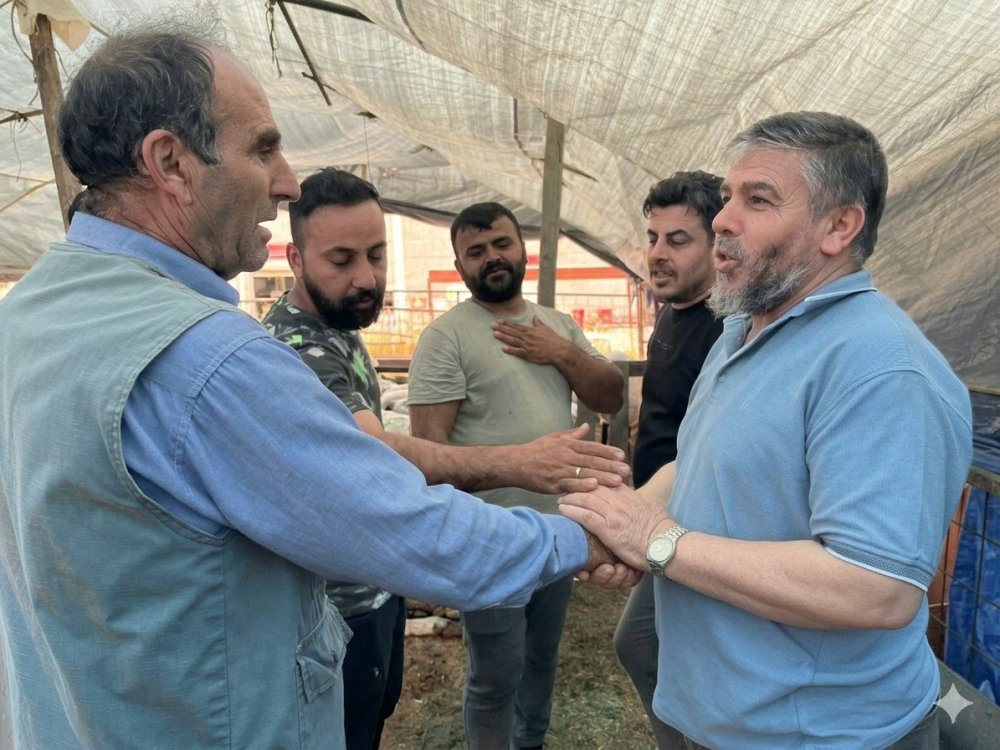Pazarda Değil Ekran Başında Pazarlık: İzmir'de Kurban Telaşı!
