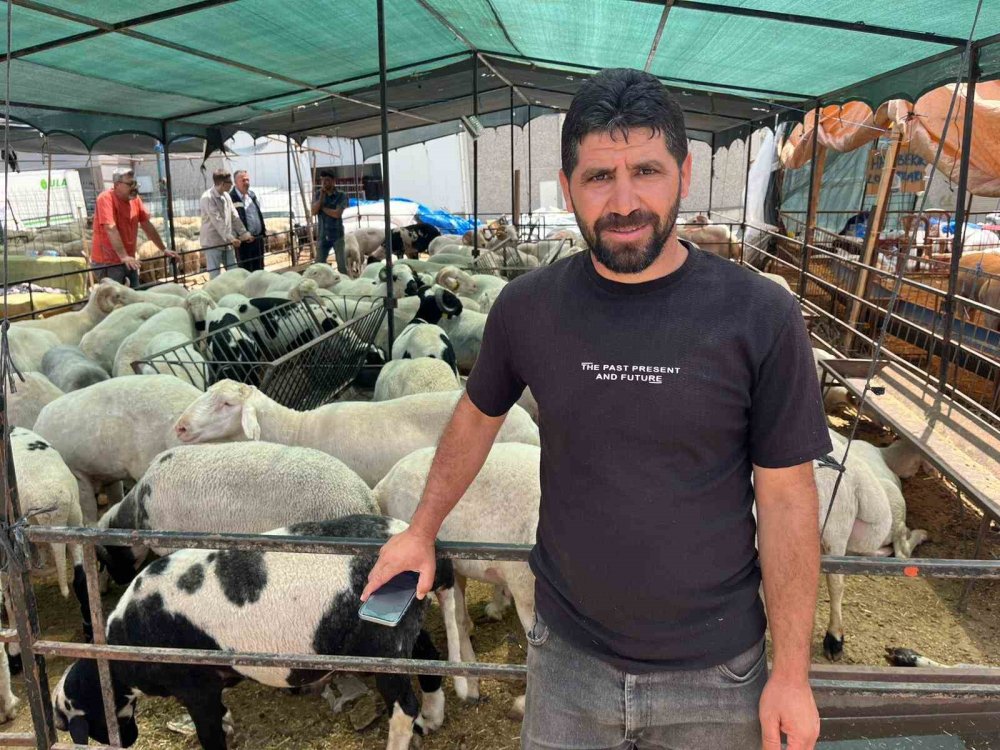 Pazarda Değil Ekran Başında Pazarlık: İzmir'de Kurban Telaşı!