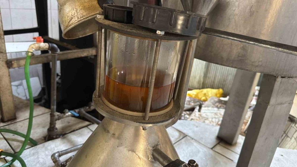 Toroslar'dan Dünyaya: 31 Çeşit Yağla Şifa Dağıtıyor