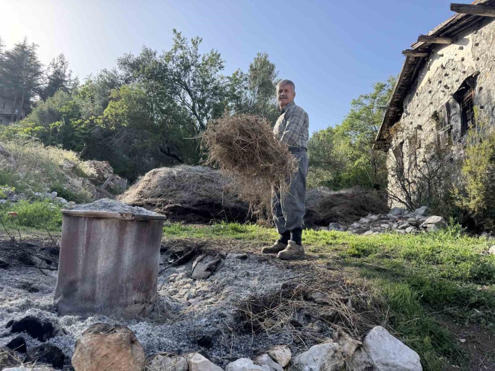 Toroslar'dan Dünyaya: 31 Çeşit Yağla Şifa Dağıtıyor