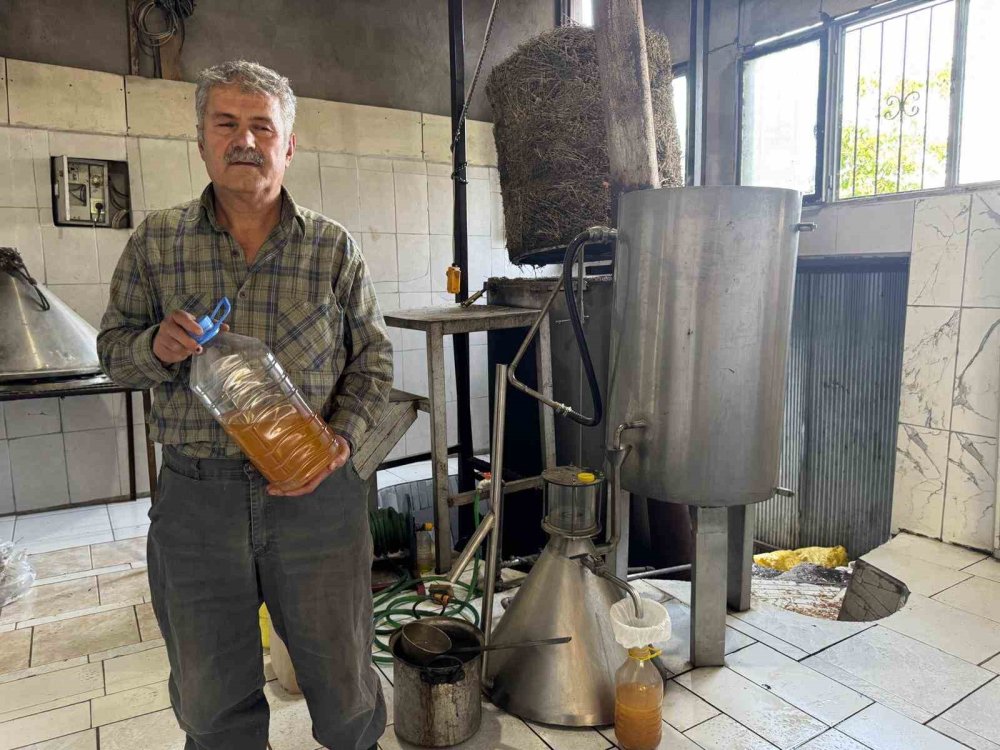 Toroslar'dan Dünyaya: 31 Çeşit Yağla Şifa Dağıtıyor