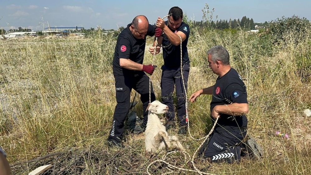 Çukurdan gelen sesin peşine düştü: Sonu şaşırttı